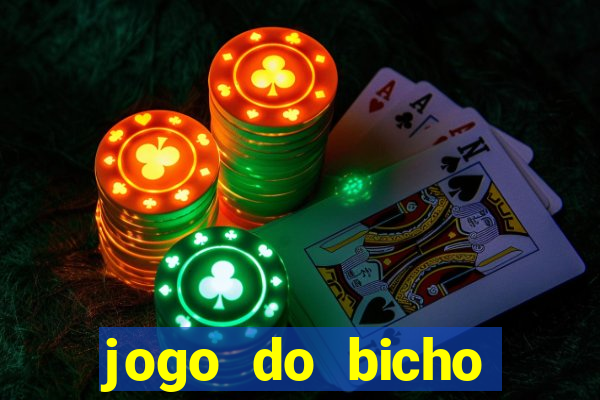 jogo do bicho crash bingo